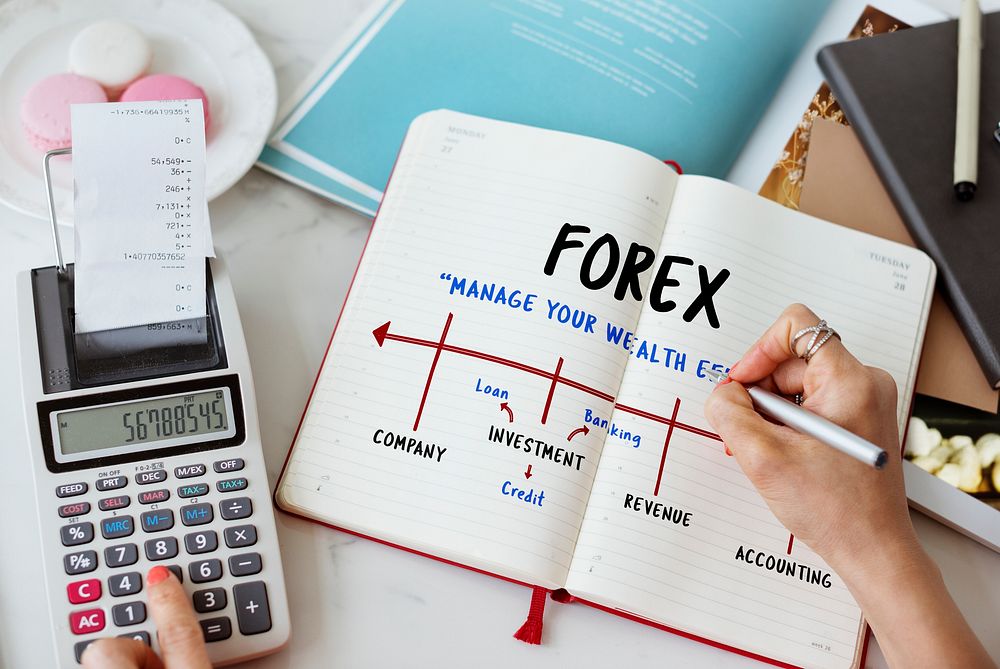 Forex Stock Venture Economics