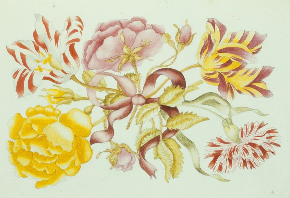 Carnation, Roses, and Tulips (Dianthus caryophyllus, Rosa spp., Tulipa x generiana). Original from the Minneapolis Institute…