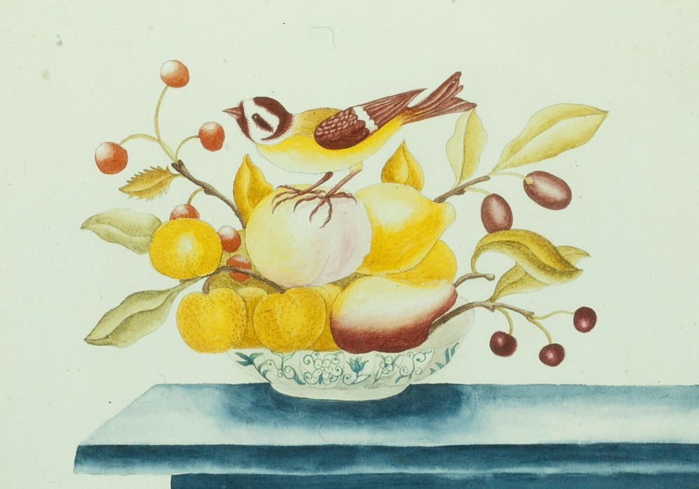 Bird on Fruits in Bowl. Original from the Minneapolis Institute of Art.