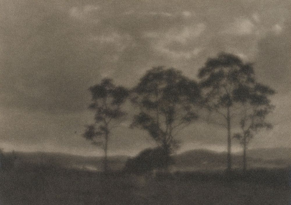 four trees silhouetted; mounted to board. Original from the Minneapolis Institute of Art.