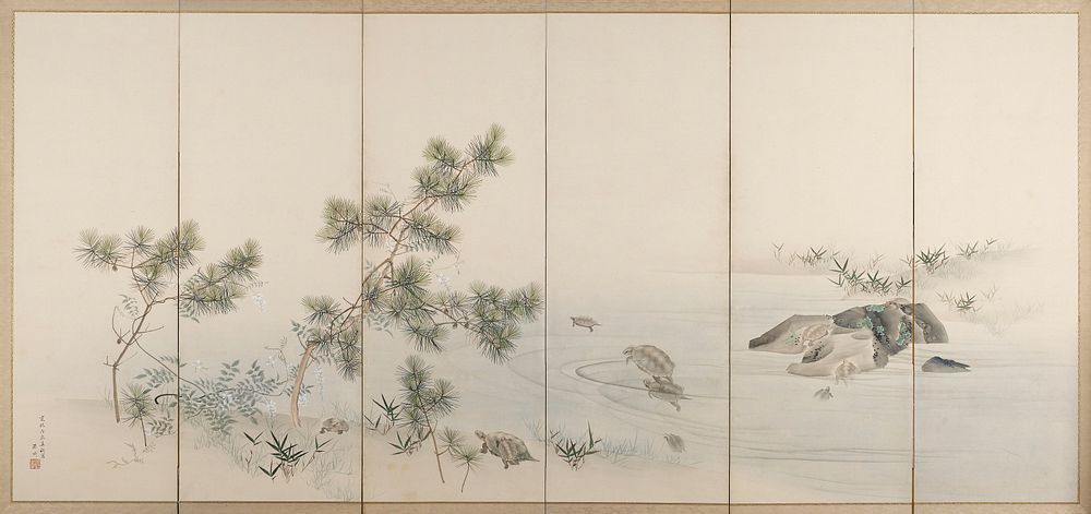 seven cranes, including one baby, with black and white feathers and red heads; pine saplings behind cluster of birds at R…