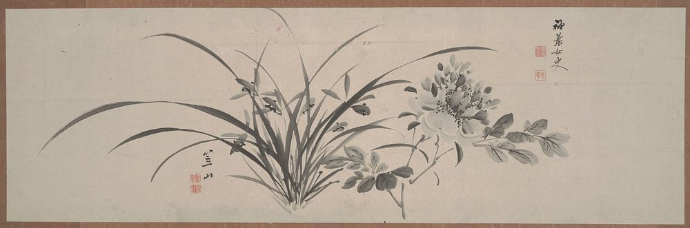 Wispy orchids at center with many grass like fronds; peony with foliage at R. Unmounted. Original from the Minneapolis…