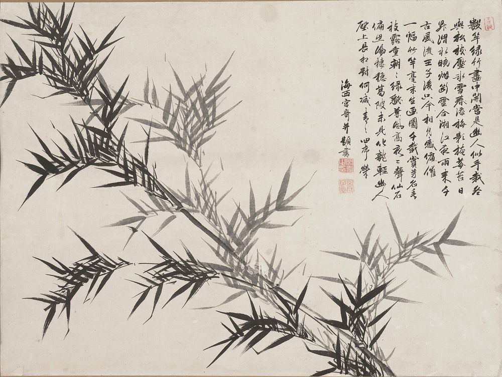 Delicate sprigs of bamboo extending from LRQ up to ULQ; front foliage is black, back foliage lighter grey; nine line…