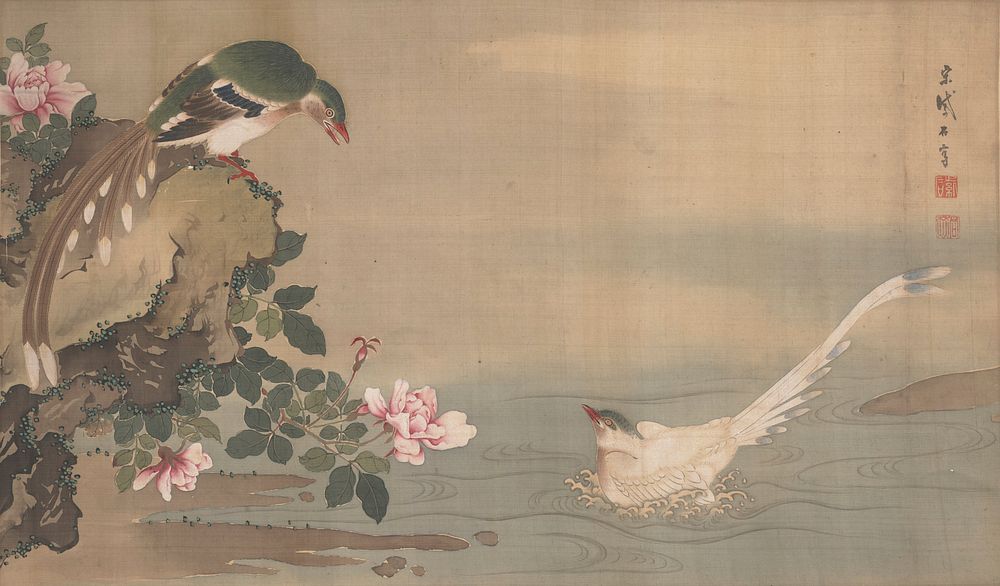 white bird with long, elegant tail and green head splashing in water at R; larger bird with green, white, and brown feathers…