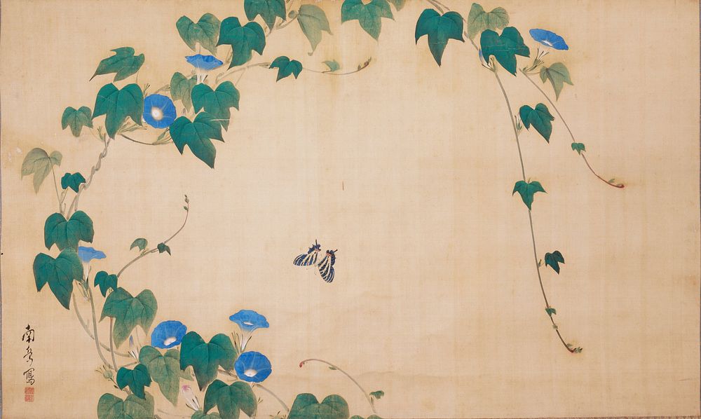 Morning glory vines stretching and winding from LL up and over to UR; scattered blue blossoms; swallowtail butterfly in…