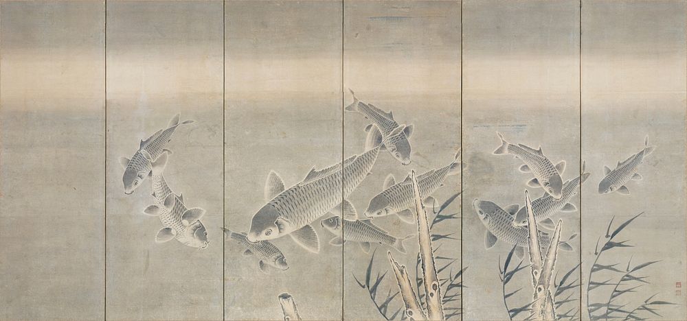 School of carp swimming among seaweed; large fish near center with smaller ones swimming in all directions; driftwood and…