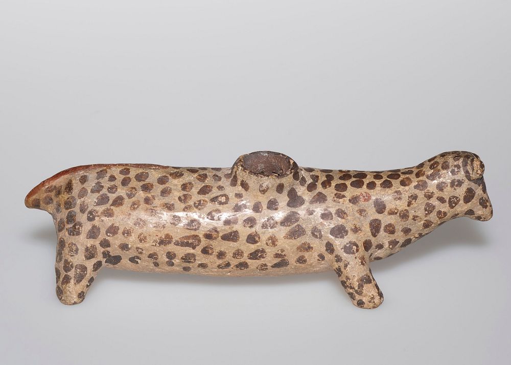 jaguar with an elongated body; small head; short legs; tail painted on body, lying on animal's back; cream with brown spots…