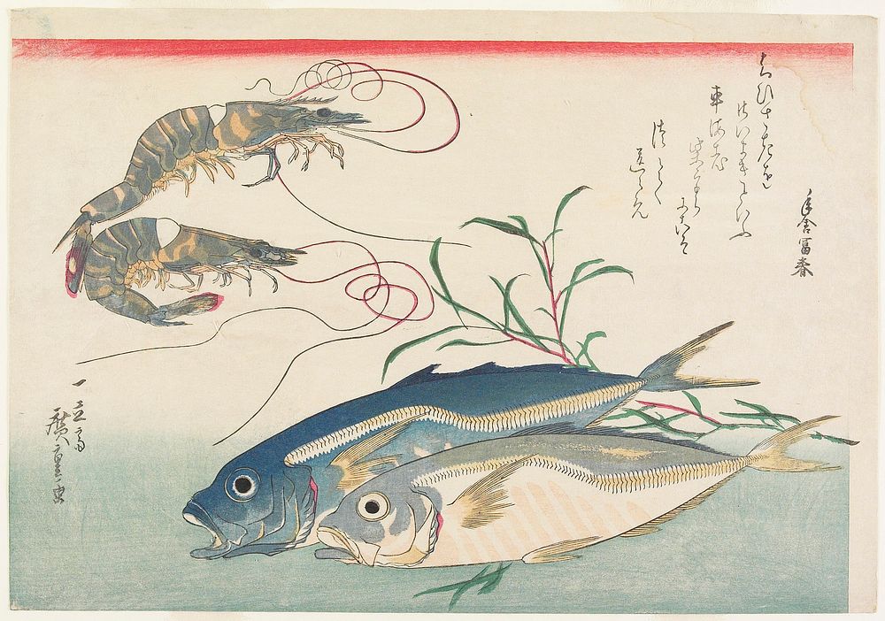 Horse Mackerel, Freshwater Prawns, and Seaweed. Original from the Minneapolis Institute of Art.