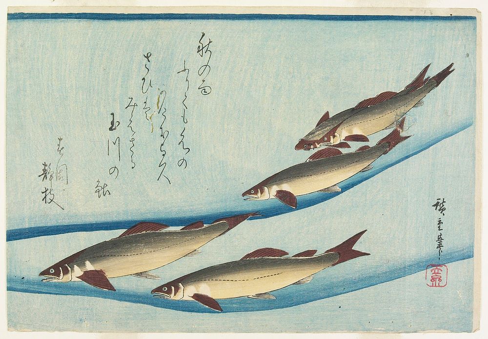 Trout. Original from the Minneapolis Institute of Art.