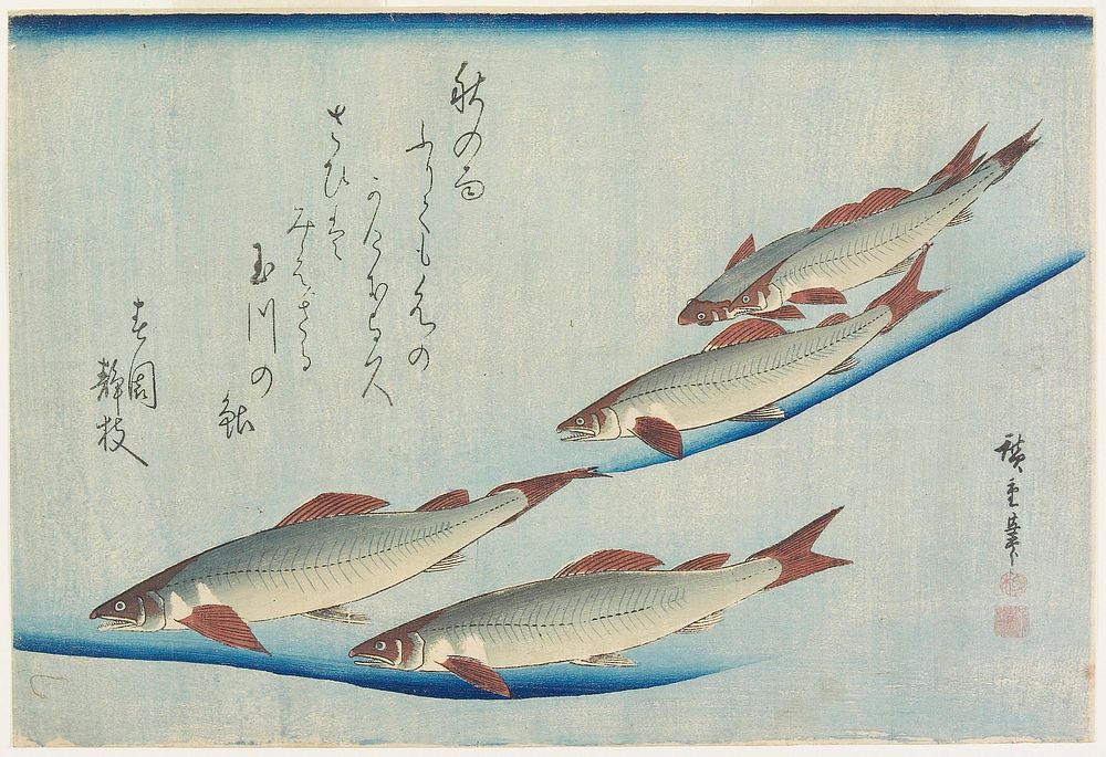 Trout. Original from the Minneapolis Institute of Art.