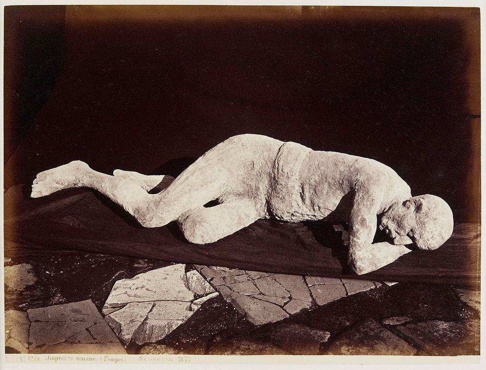 Imprente umane, Pompei, Scoverta, 1873. Original from the Minneapolis Institute of Art.
