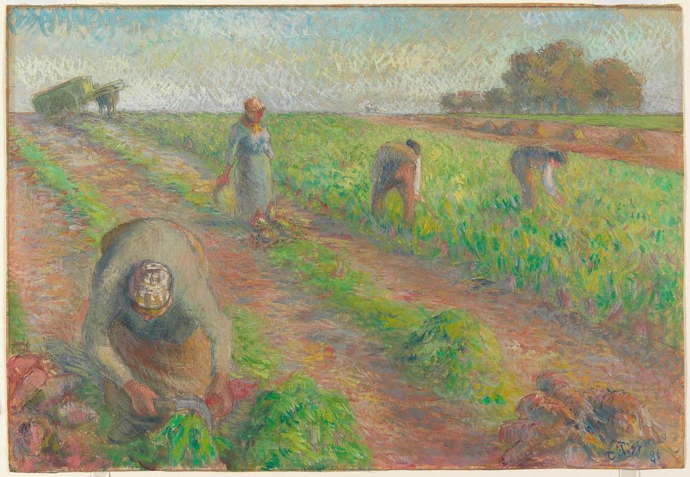The Beet Harvest (1881) by Camille Pissarro. Original from the Minneapolis Institute of Art.