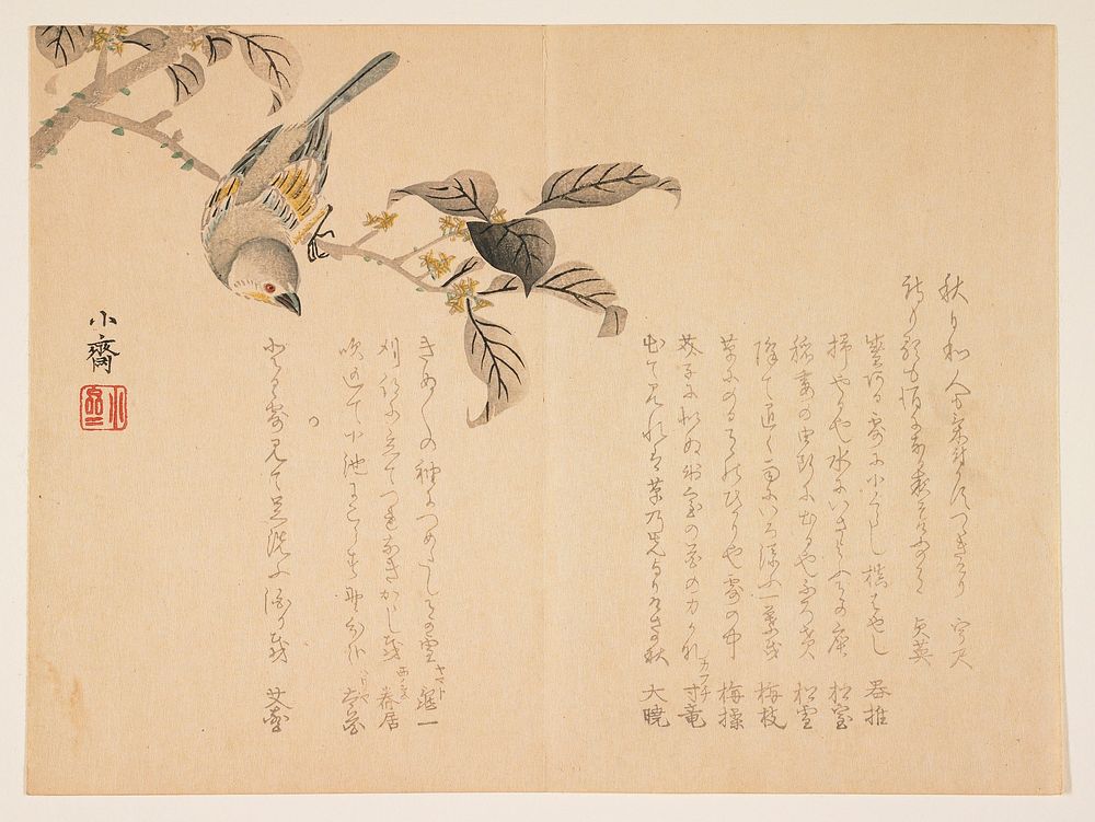 (Bird on a branch). Original from the Minneapolis Institute of Art.