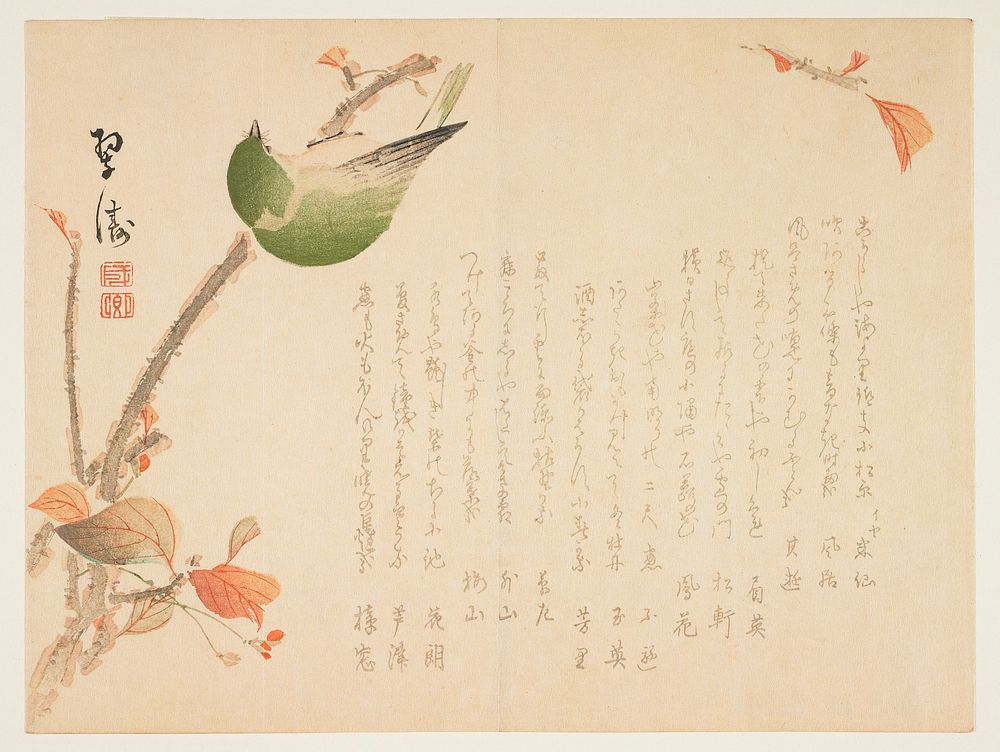 White-eye on a Branch. Original from the Minneapolis Institute of Art.