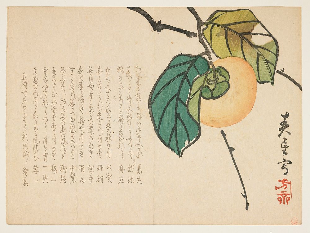 (Persimmon). Original from the Minneapolis Institute of Art.