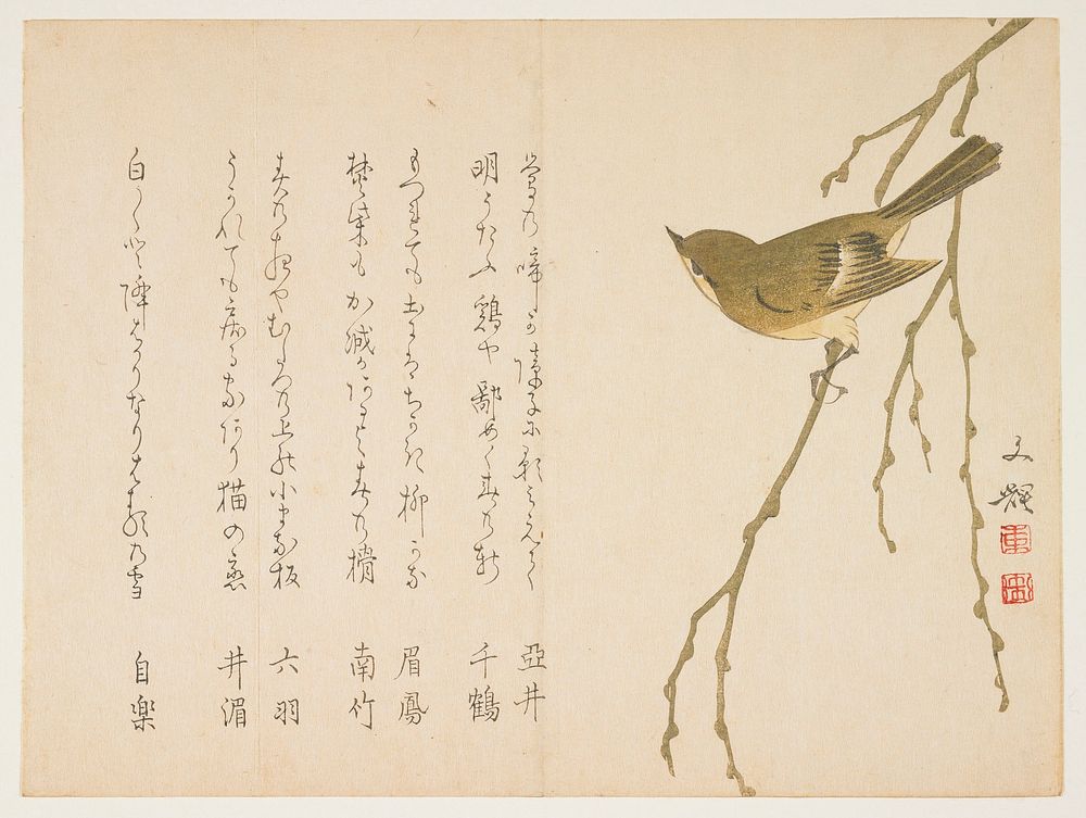 Nightingale on a willow branch. Original from the Minneapolis Institute of Art.
