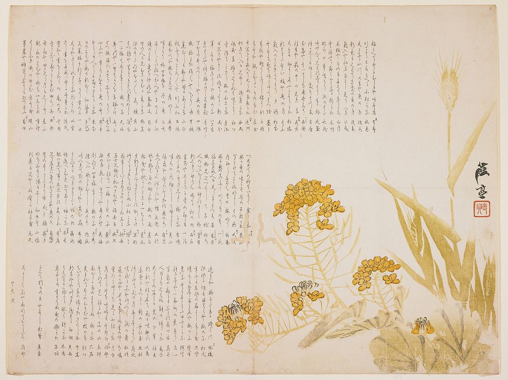 Rape blossom and wheat. Original from the Minneapolis Institute of Art.