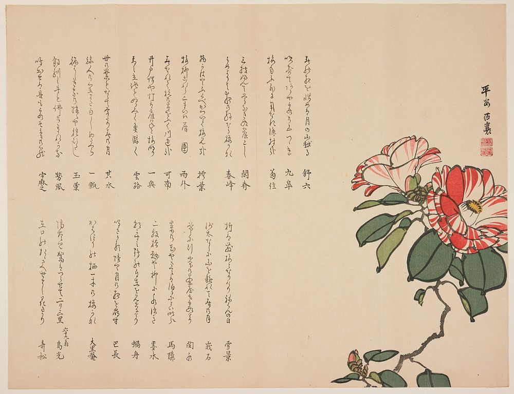 Camellia. Original from the Minneapolis Institute of Art.