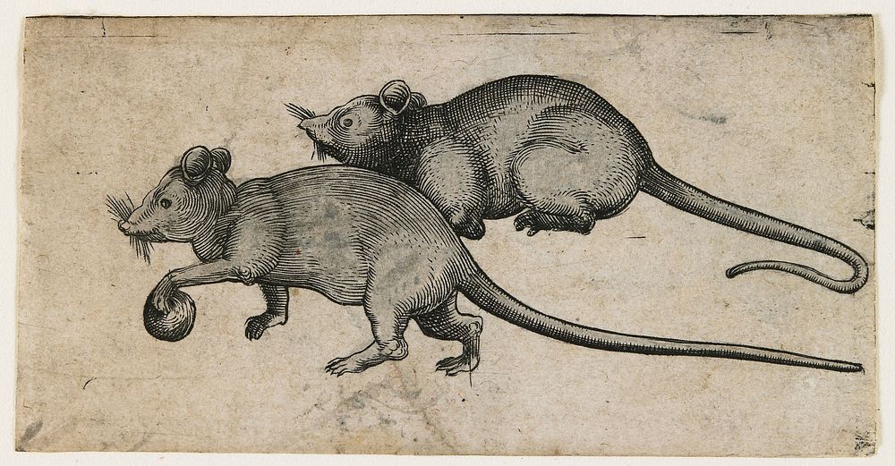 Two Mice. Original from the Minneapolis Institute of Art.