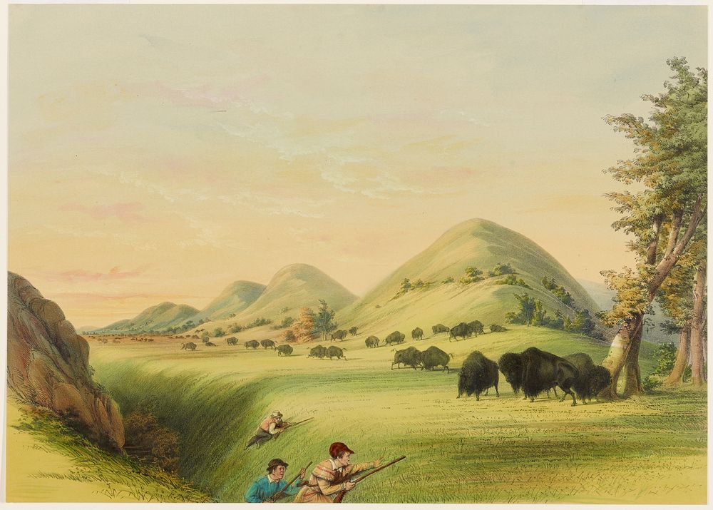 Buffaol Hunt, Approaching in a Ravine. Original from the Minneapolis Institute of Art.