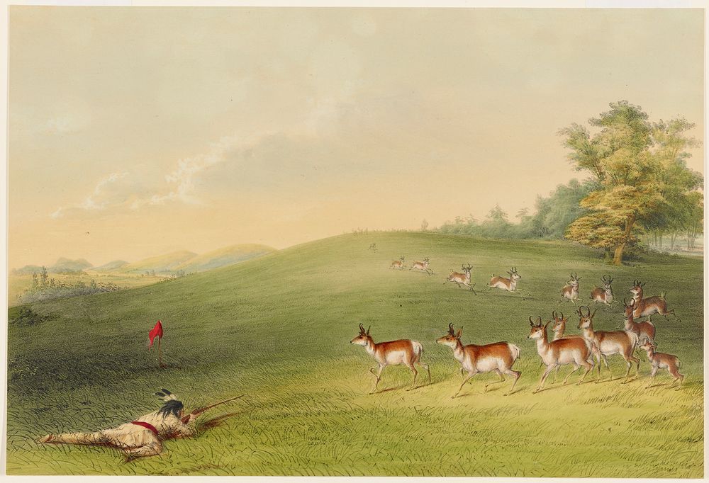 Antelope Shooting. Original from the Minneapolis Institute of Art.