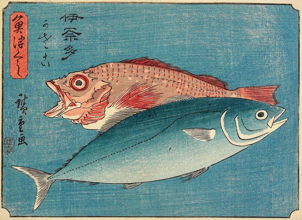 Yellowtail and Rockfish. Original from the Minneapolis Institute of Art.