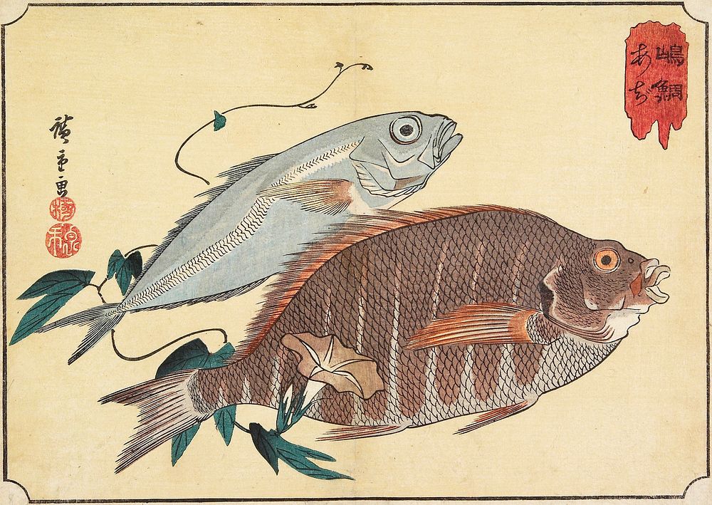 Striped Snapper and Horse Mackerel. Original from the Minneapolis Institute of Art.