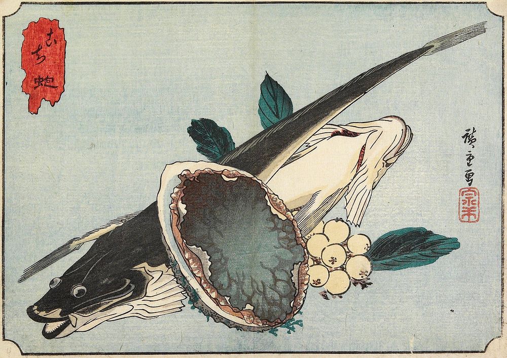 Flathead and Abalone. Original from the Minneapolis Institute of Art.