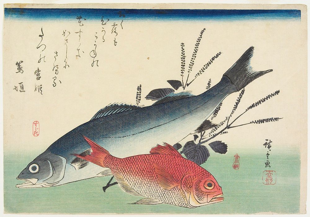 Sea Bass and Splendid Alfonsino. Original from the Minneapolis Institute of Art.