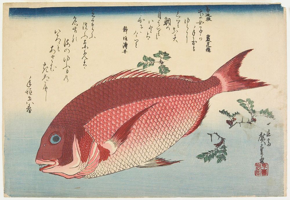 Sea Bream and Sansho Pepper. Original from the Minneapolis Institute of Art.