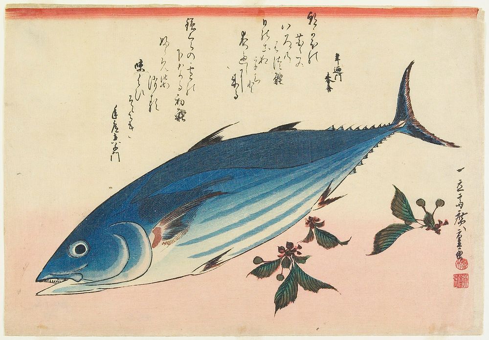 Bonito and Saxifrage. Original from the Minneapolis Institute of Art.