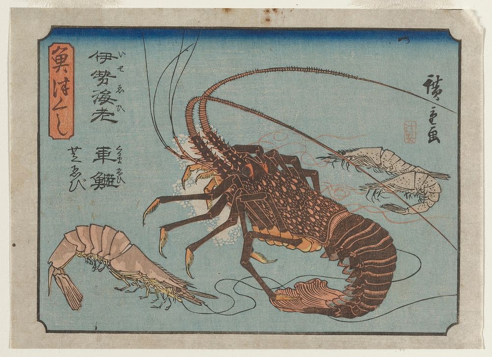 Lobster, Prawn, and Shrimps. Original from the Minneapolis Institute of Art.
