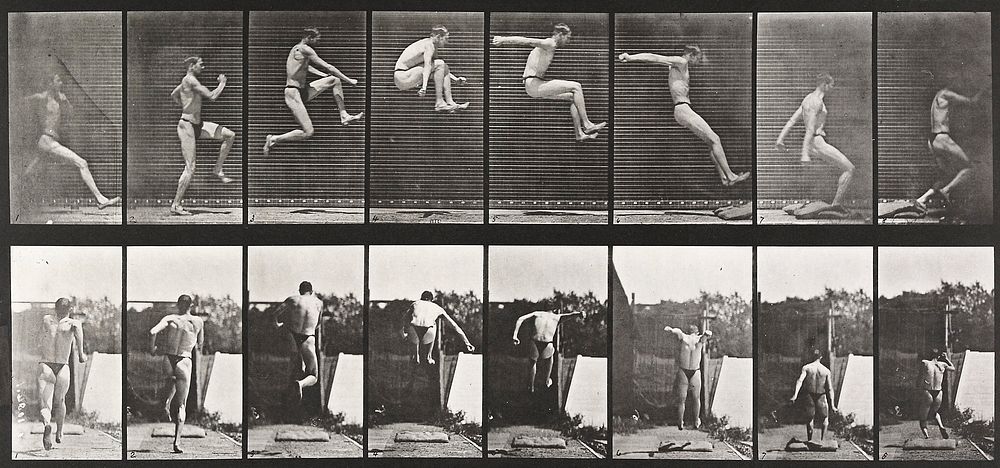 Jumping, running, broad jump. From a portfolio of 83 collotypes, 1887, by Edweard Muybridge; part of 781 plates published…