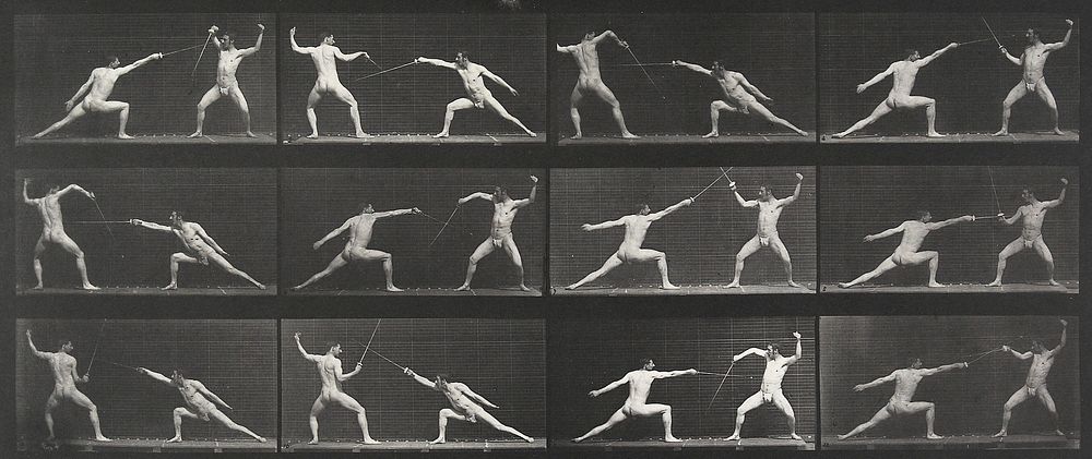 Fencing. From a portfolio of 83 collotypes, 1887, by Edweard Muybridge; part of 781 plates published under the auspices of…