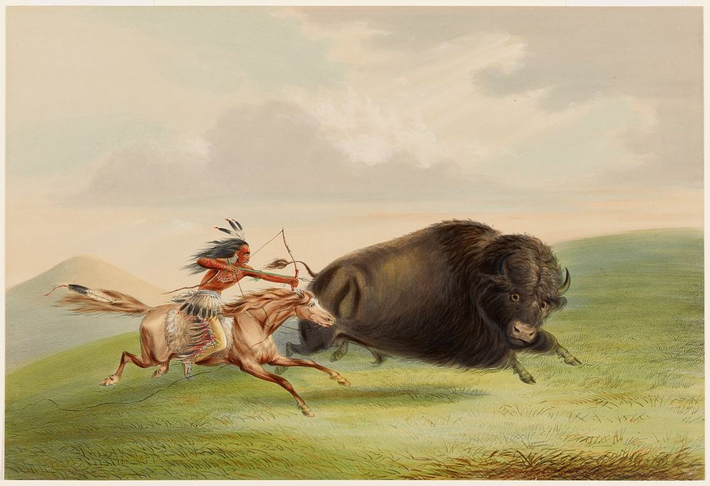 Buffalo Hunt, Chase. Original from the Minneapolis Institute of Art.