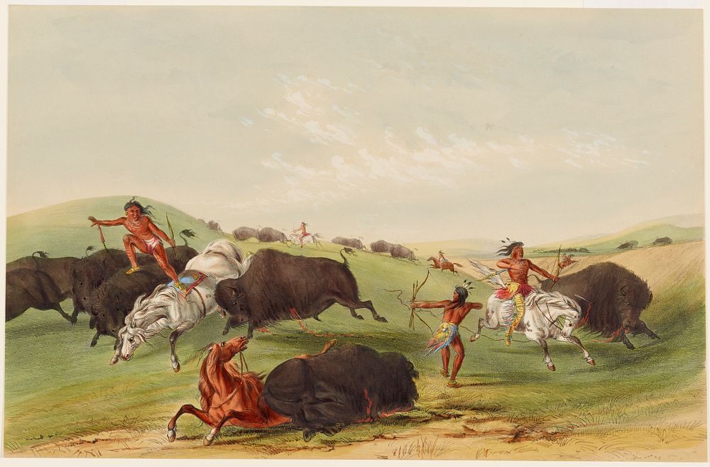 Buffalo Hunt: Chase. Original from the Minneapolis Institute of Art.