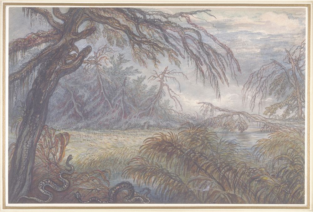 Forest and Swamp. Original from the Minneapolis Institute of Art.