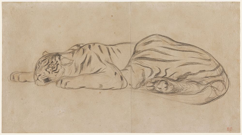 tiger lying down with eyes open by Eug&egrave;ne Delacroix. Original from the Minneapolis Institute of Art.