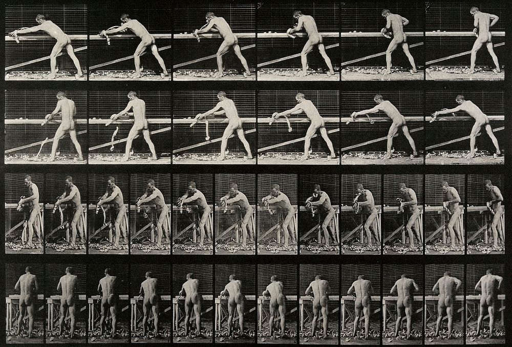 Carpenter, planing a board. From a portfolio of 83 collotypes, 1887, by Edweard Muybridge; part of 781 plates published…