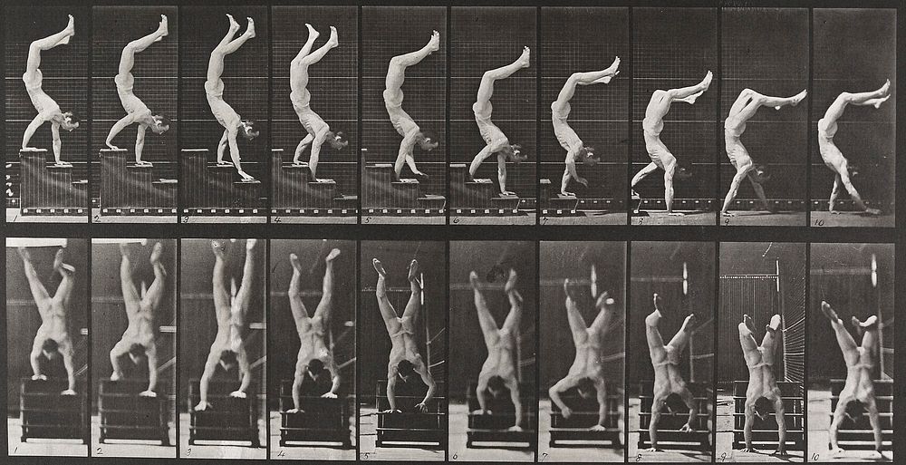 Acrobat descending stairs on hands. From a portfolio of 83 collotypes, 1887, by Edweard Muybridge; part of 781 plates…