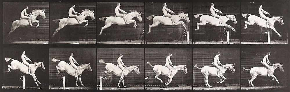 Jumping a hurdle, bareback, clearing and landing, rider nude, gray mare. From a portfolio of 83 collotypes, 1887, by Edweard…