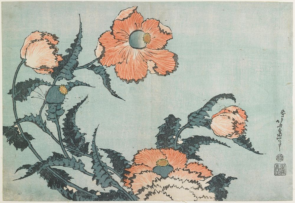 Poppies. Original from the Minneapolis Institute of Art.