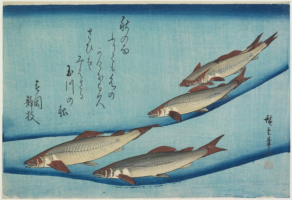 Trout. Original from the Minneapolis Institute of Art.