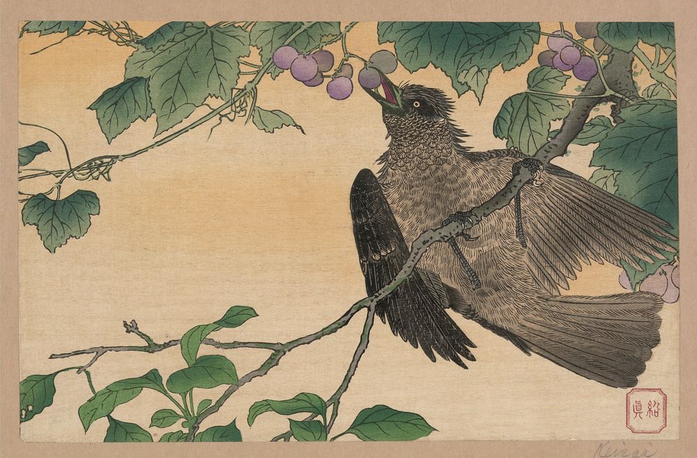Kachōga. Original from the Library of Congress.