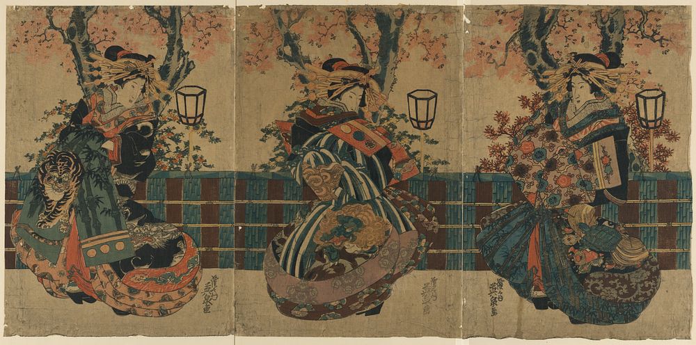 Nakano chō no sakura. Original from the Library of Congress.