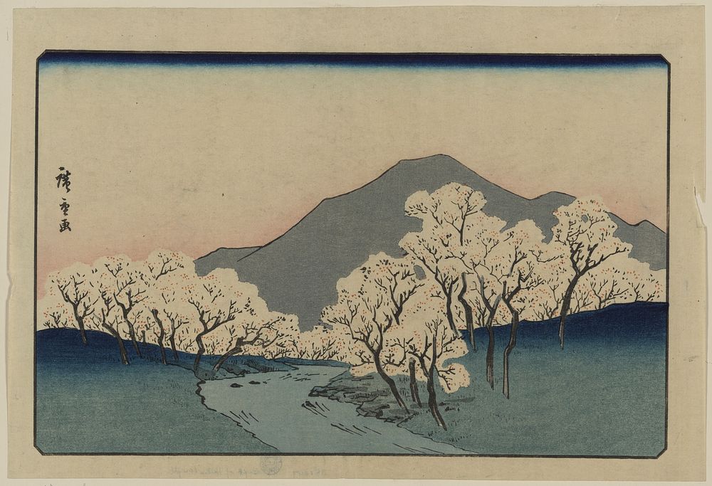 Sakura namiki zu. Original from the Library of Congress.