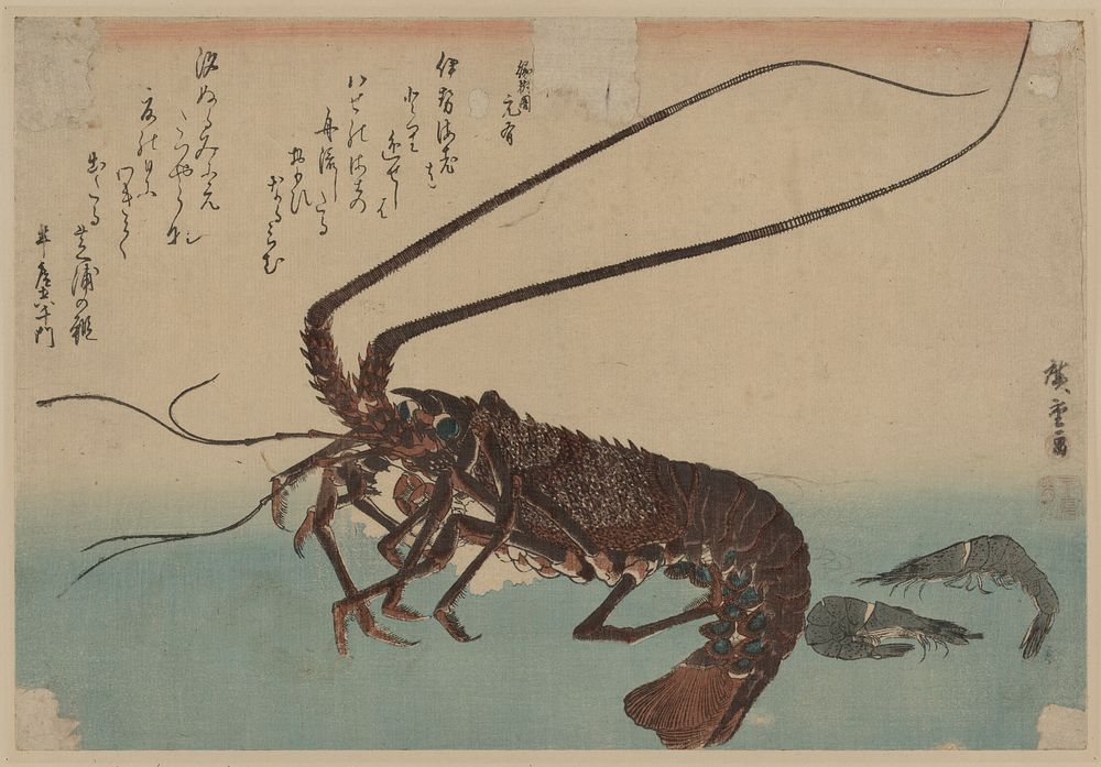 Ise ebi to shiba ebi. Original from the Library of Congress.