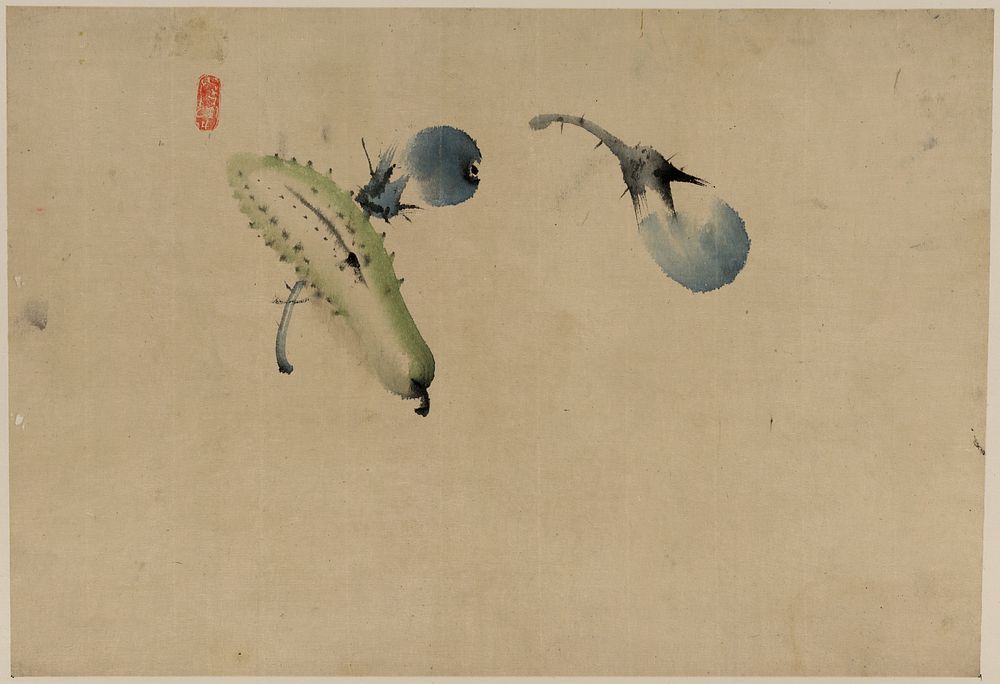 [Cucumber or squash and eggplant]. Original from the Library of Congress.