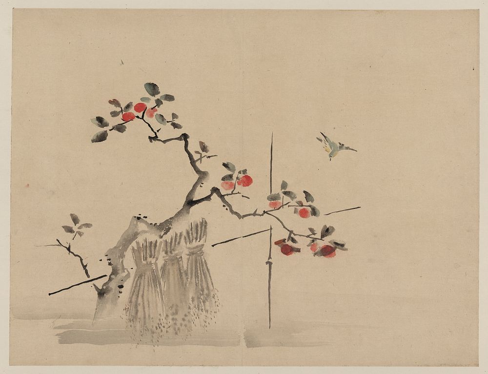 [Blue bird about to land on a branch of a fruit tree]. Original from the Library of Congress.