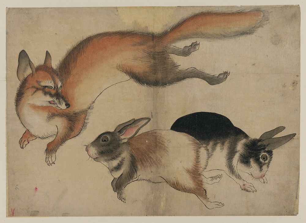 [Fox and two hares]. Original from the Library of Congress.